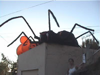 Halloween Spider