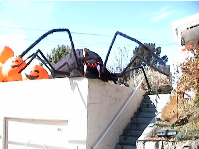 Copyright 1998 Nick Donaldson