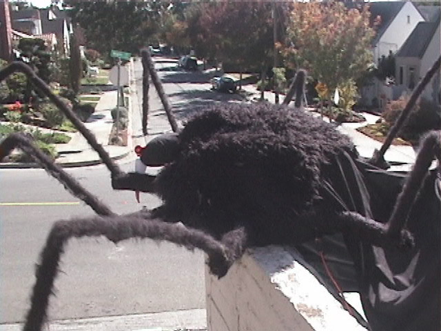 Copyright 1998 Nick Donaldson